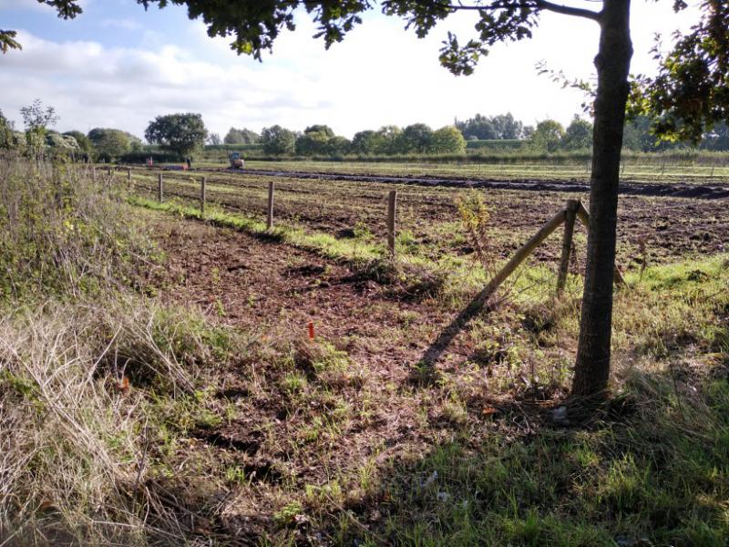 Moestuin in aanleg West_okt2019